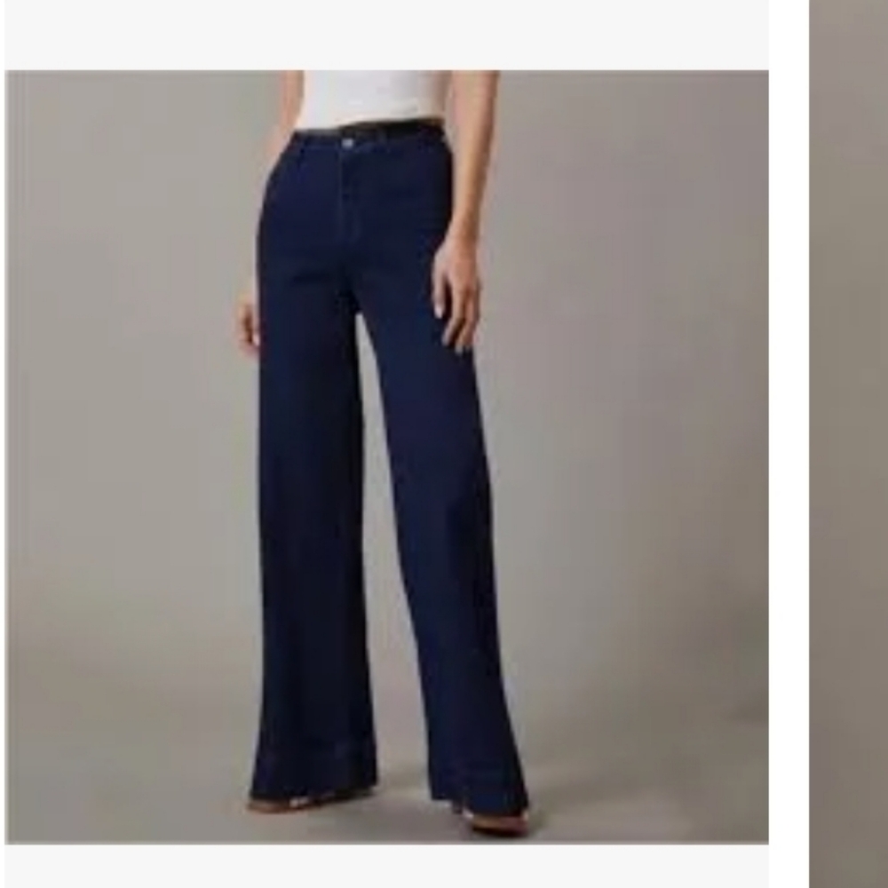 Anthropologie Pilcro Wide-Leg Pants - Deep Blue